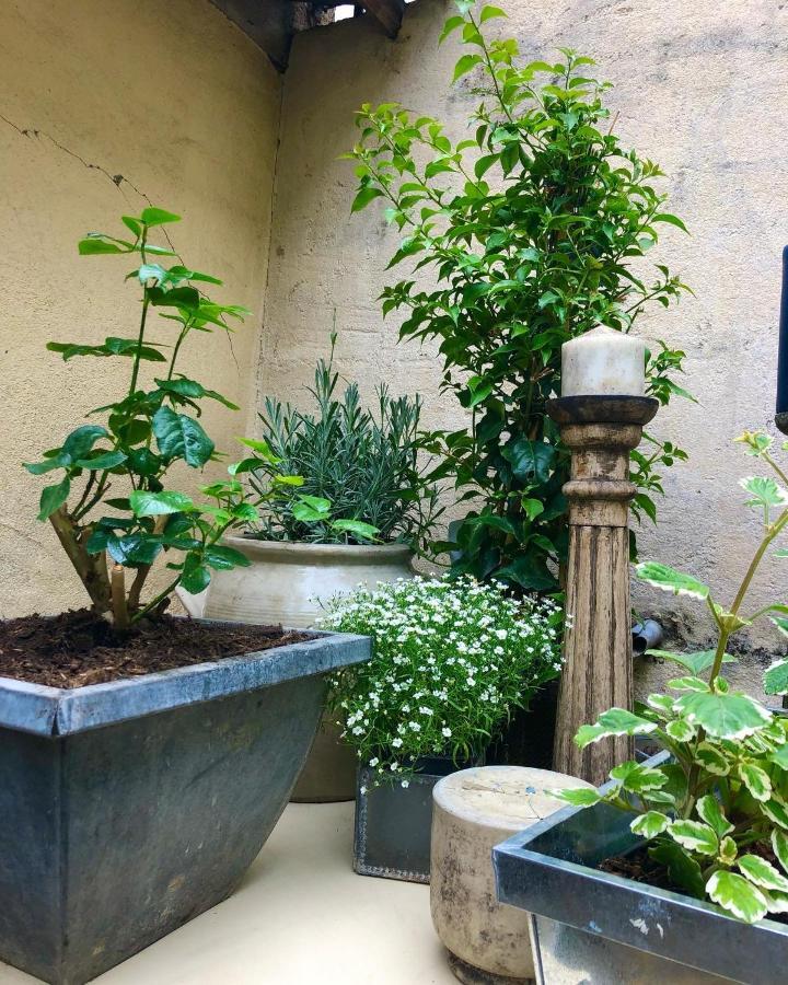 Le Jardin Wilson Apartment Dijon Exterior foto